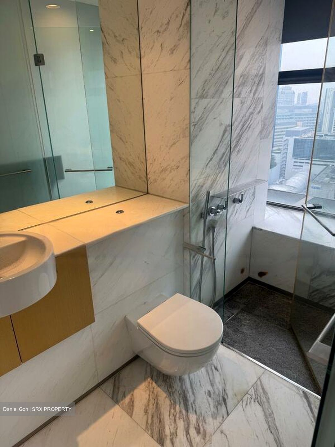Newton Suites (D11), Apartment #507730821